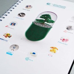 каталог на пружине с лаком